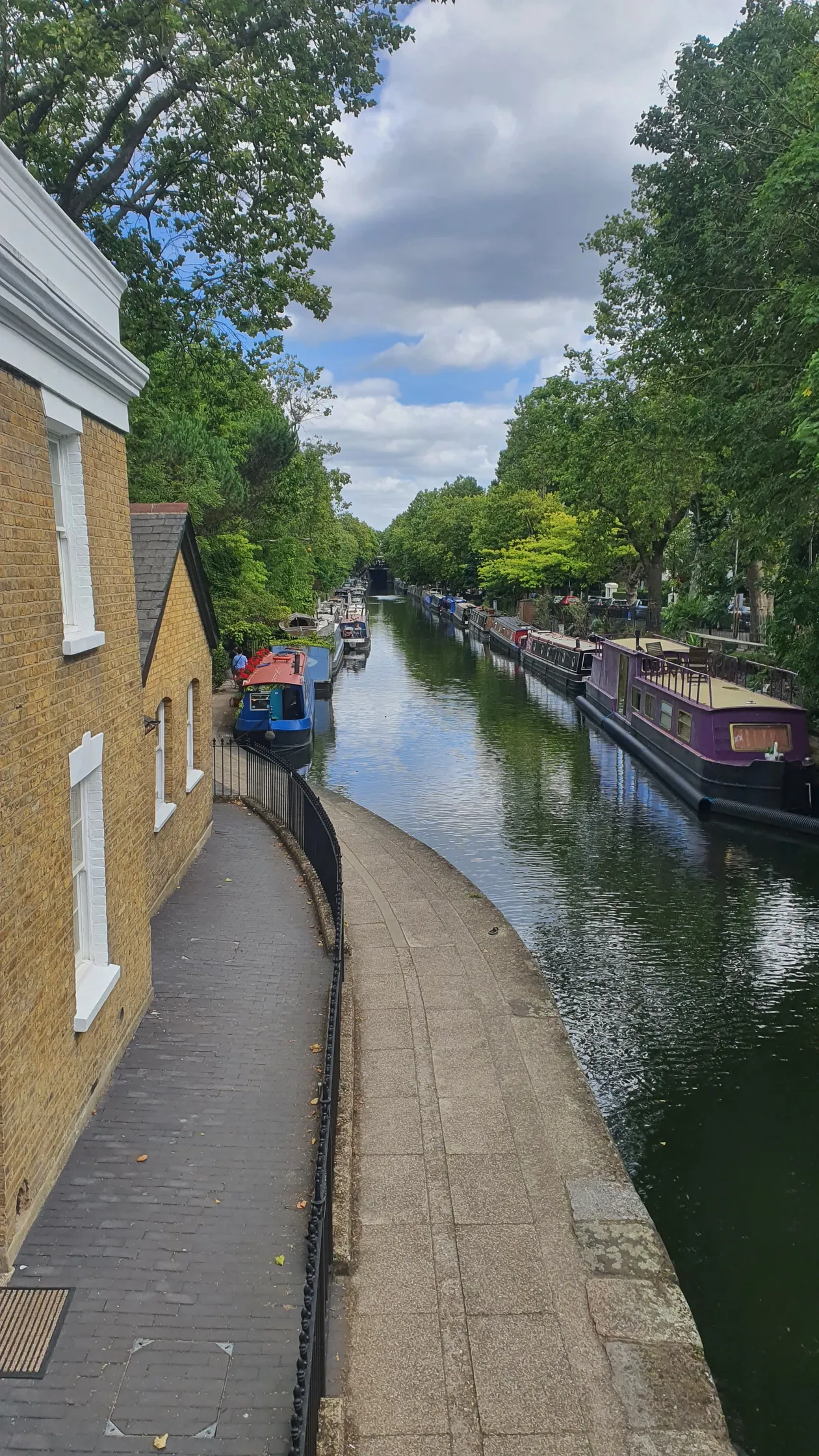 User image 34