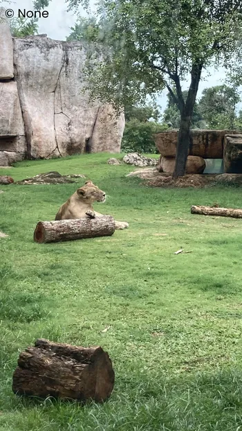Bali zoo thumbnail
