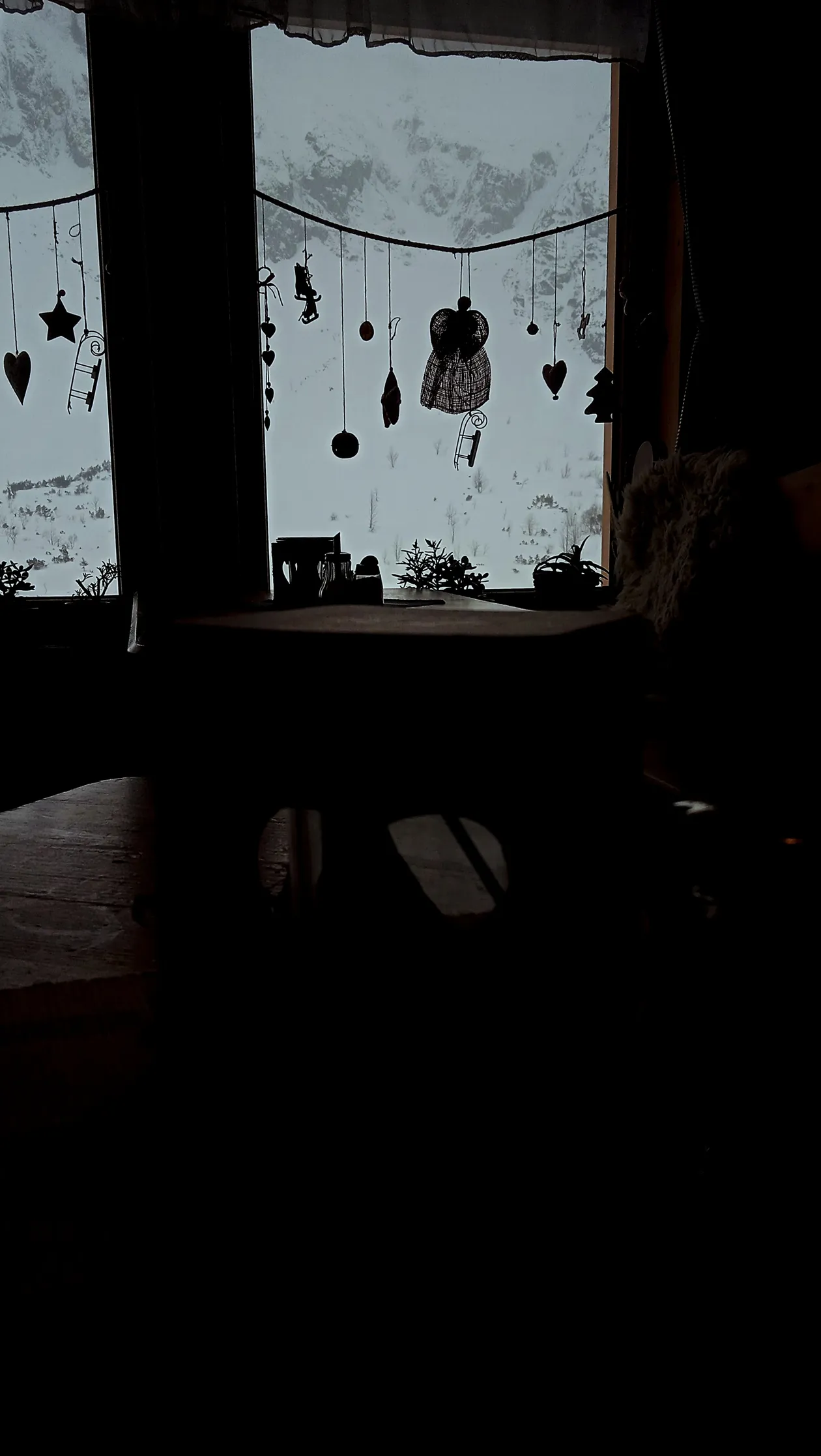 User image 22