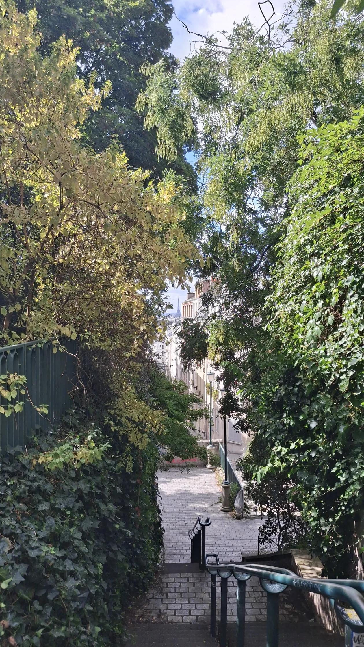 User image 35