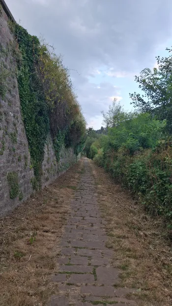 Leinpfad - Cute riverside path thumbnail